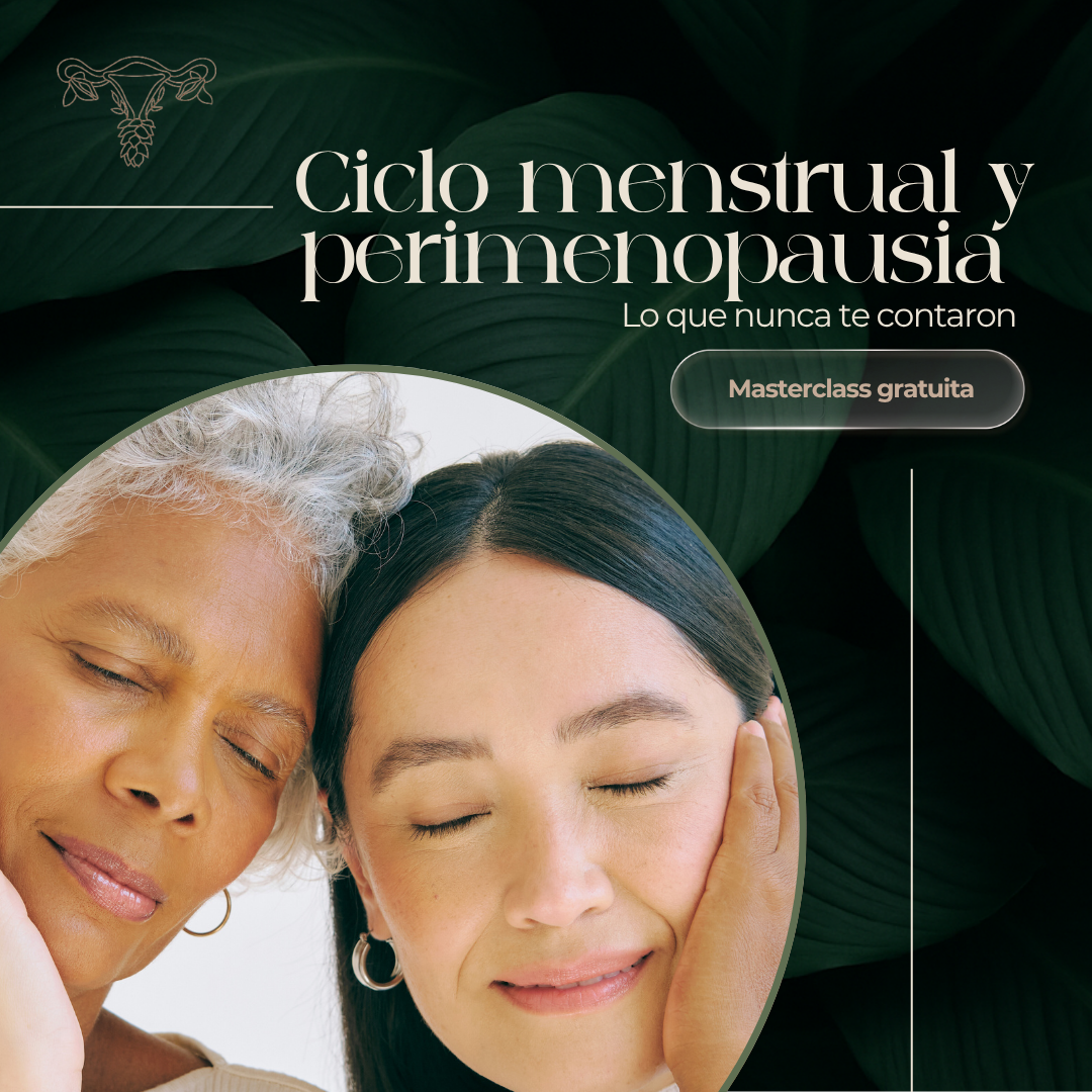 Masterclass ciclo menstrual y perimenopausia